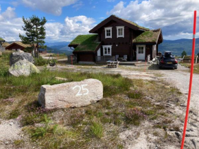 Vrådal Panorama